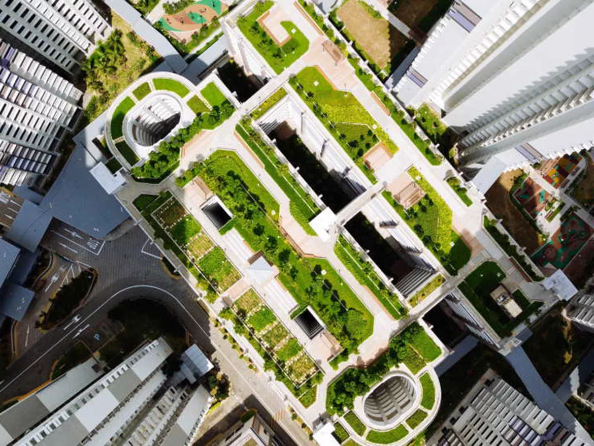 Green roofs