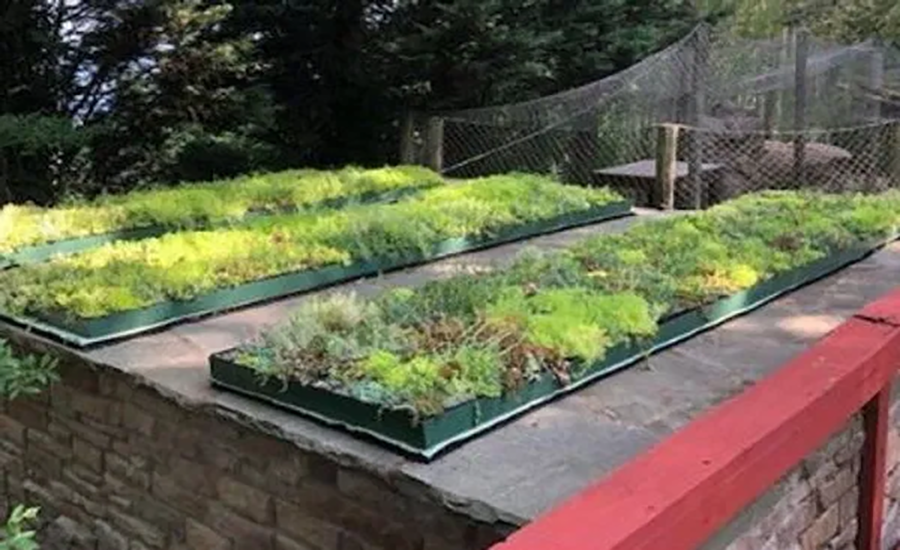 Fresh Look at Virginia Zoo Unveils Innovative Green Roof