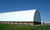 Cows Eating-A - TOF.jpg Cows Eating-A - TOF.jpg