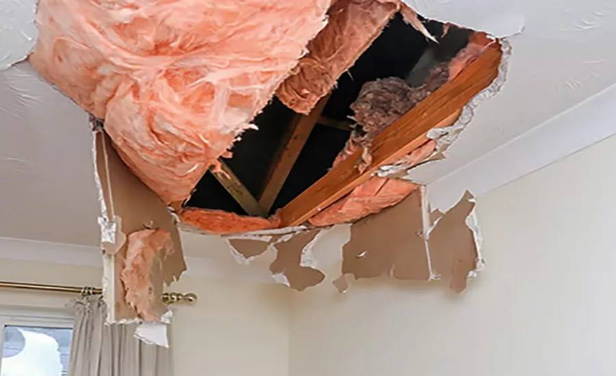 Ice Through Roof - TOF - 3.jpg