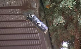 Halloween - Bat Cones-2 - TOF.jpg