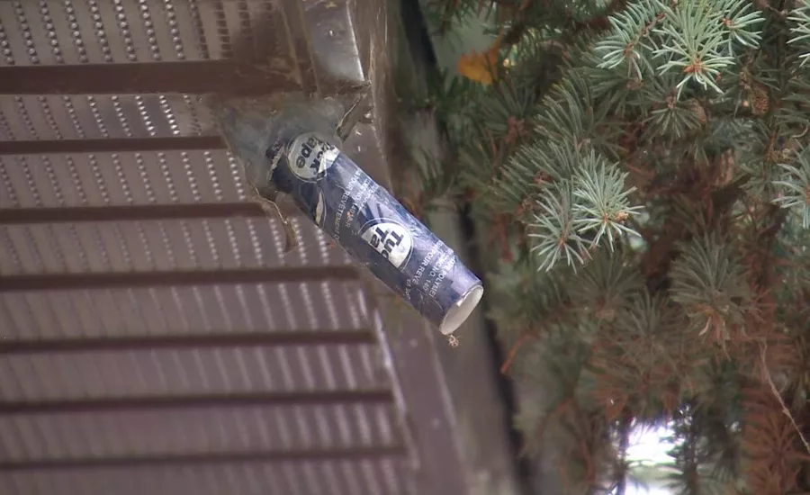 Halloween - Bat Cones-2 - TOF.jpg