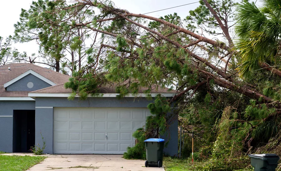 Help your solar customers protect their investments from storm damage