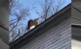 New-York-cat-on-roof-rescued-WNYT.jpg