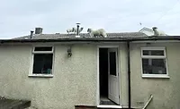 Sheep inadvertently wandered onto the roof of Kristen Jackson’s house in rural England.