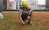 Sustainable Roofing options A man in a hard hat examines a garden roof