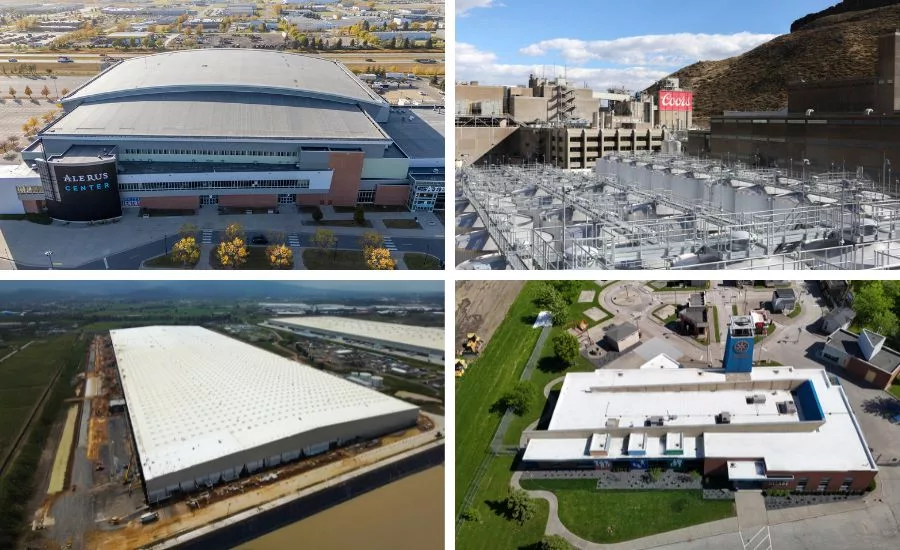 four commercial roof projects