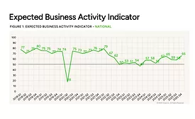 expected business activity chart