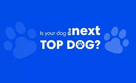 TRI-BUILT-Top-Dog-paws