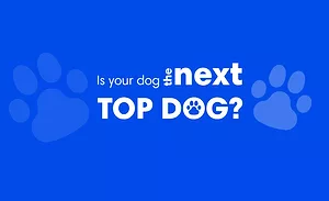 Tri built top dog 2026