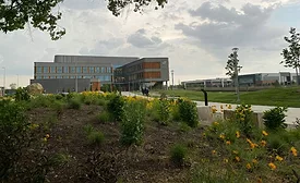 Witchita State University