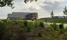 Witchita State University