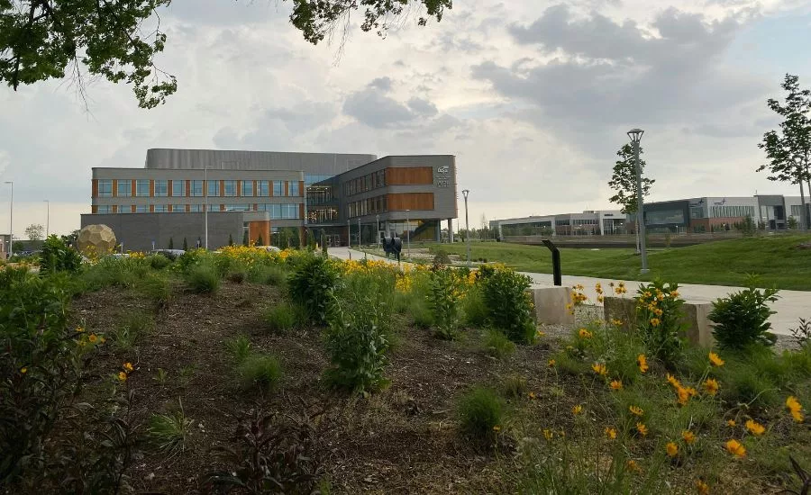 Witchita State University