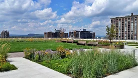 Rooftop garden with green lawn, flowerbeds, benches, and distant buildings under a cloudy sky.