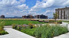 Rooftop garden with green lawn, flowerbeds, benches, and distant buildings under a cloudy sky.