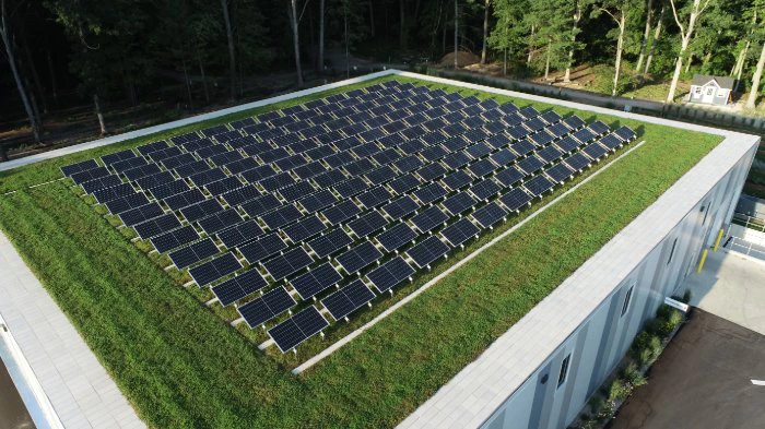 Aerial view of a large array of solar panels on a lush green roof, symbolizing sustainable energy solutions.
    