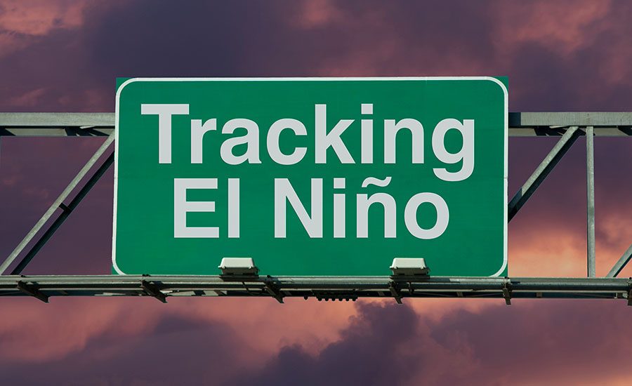 Weather Wild Card: El Niño 2026