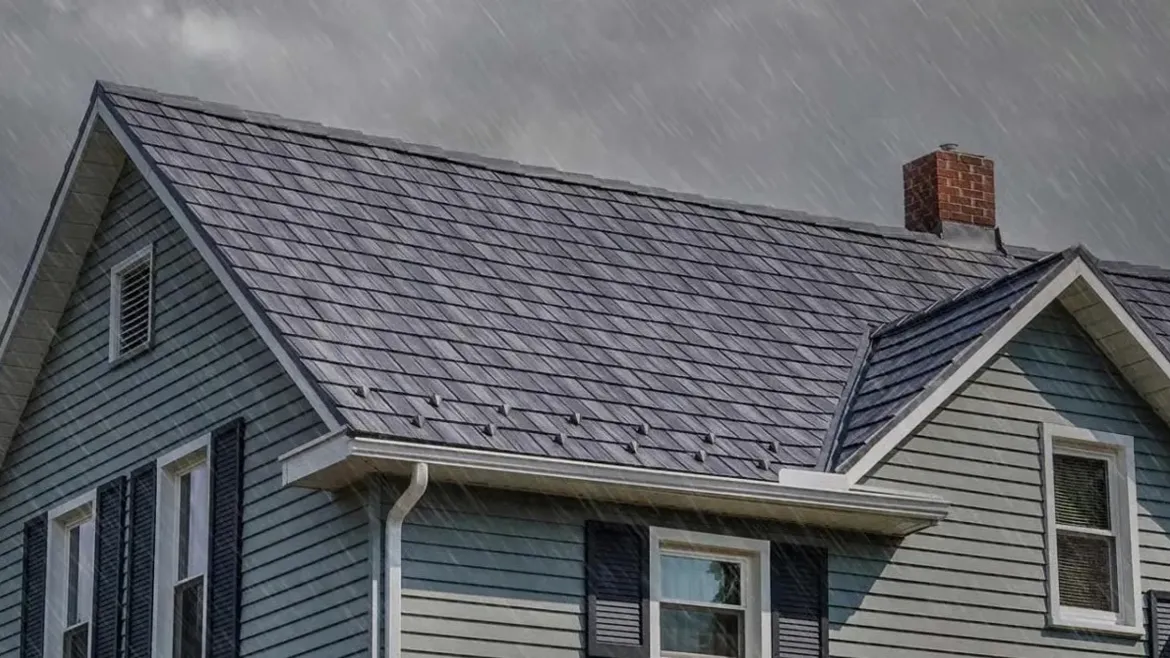 ProVia Metal Roofing Targets