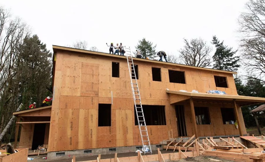 Anisa's Place photo-3