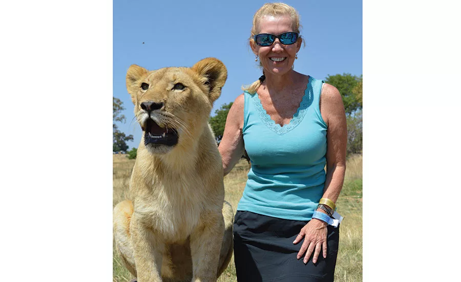 Roofing Contracto rQ&A