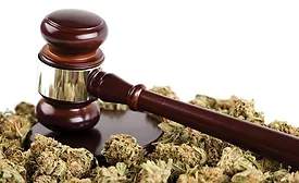 marijuana in the workplace