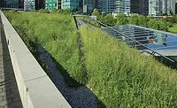 GettyImages-495609437.jpg vegetative roofs