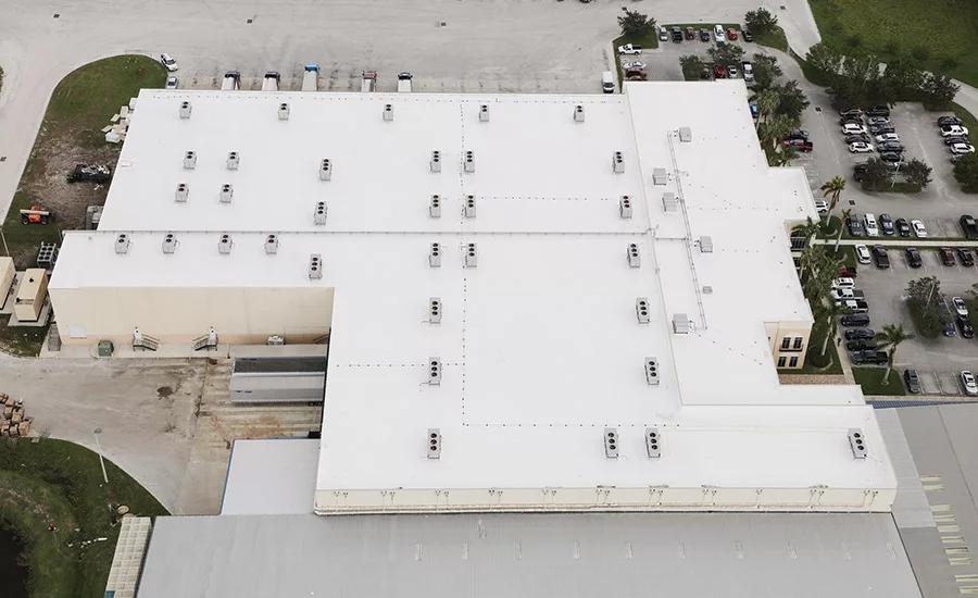 Di Pasqua Construction, Inc. 