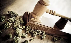 Marijuana legalization