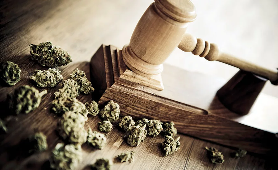 Marijuana legalization