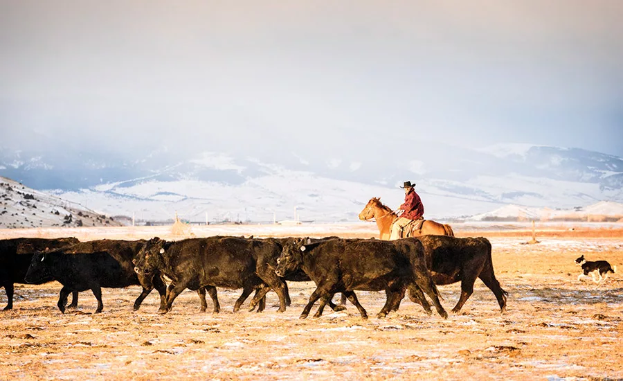 growth and contractor profits