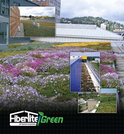 FiberTite green roof technology