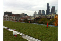 Seattle First Hill Green Roof