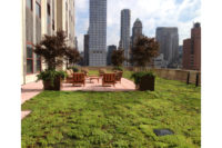 Empire State Building green roofs