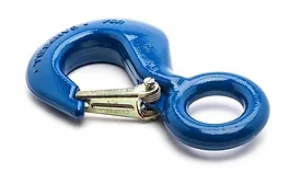 Campbell Eye Hoist Hook