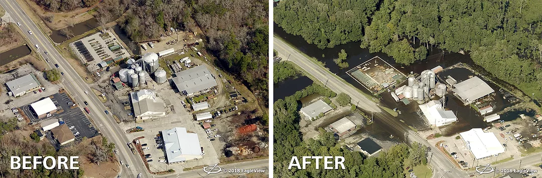 EagleView Florence 4