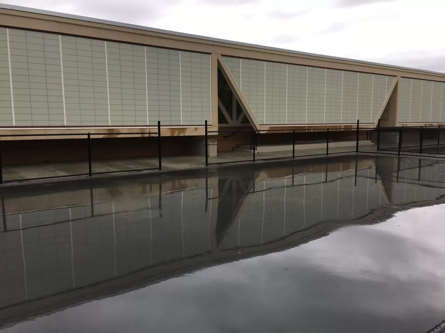 Weber State University Pickleball 5
