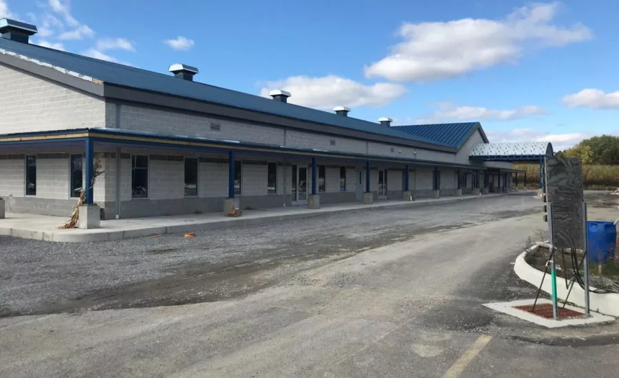 Boak and Sons Angels for Animals