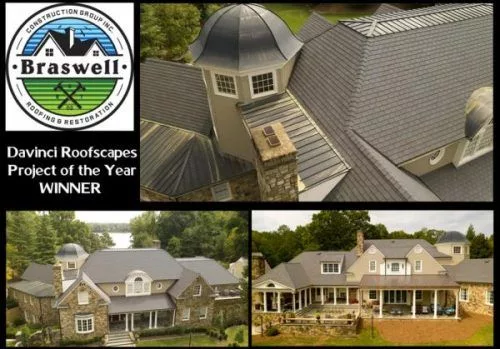 braswell-davinci-2019