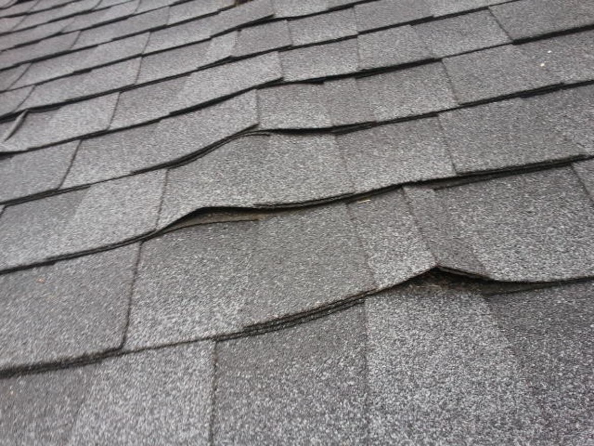 aspen-leaf-roofing-shingle-appraisal