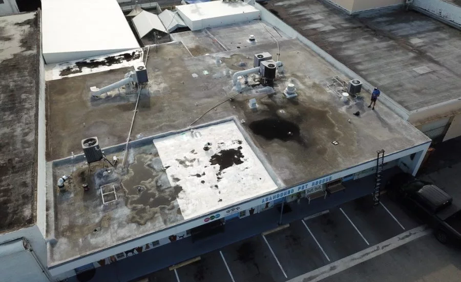 Polyglass-Pet-Rescue_2