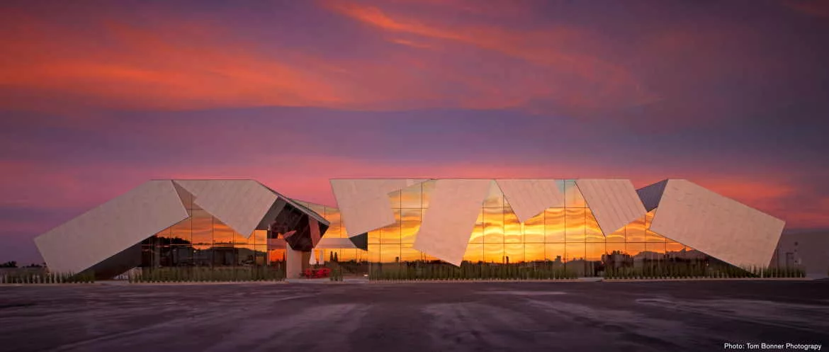 Pterodactyl_1_TomBonnerPhotography