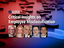 Video_Misclassification