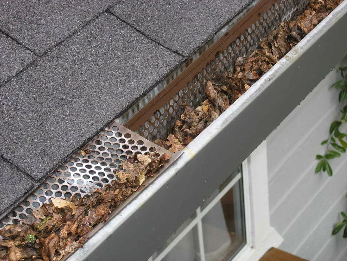 gutters-guard