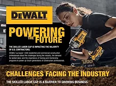 DEWALT Infographic top.jpg
