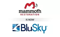 BluSky_Merger_Mammoth-01-768x640.jpg BluSky_Merger_Mammoth-01-768x640.jpg