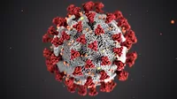 coronavirus coronavirus