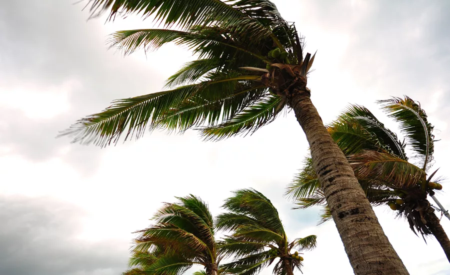 high performance shingles